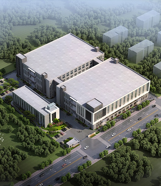 关于AG真人国际