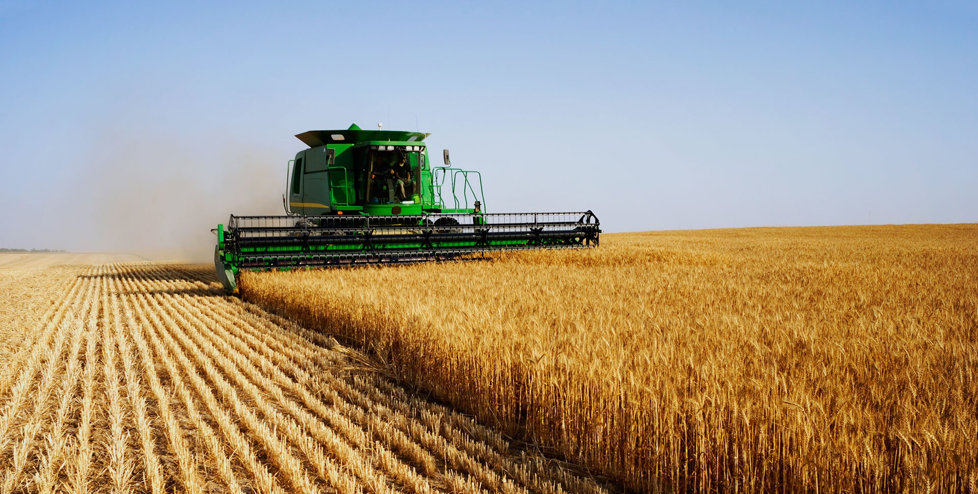 AG真人国际(中国)官方网站